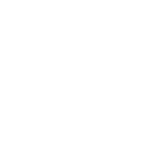 WriteFaster - STANDARD